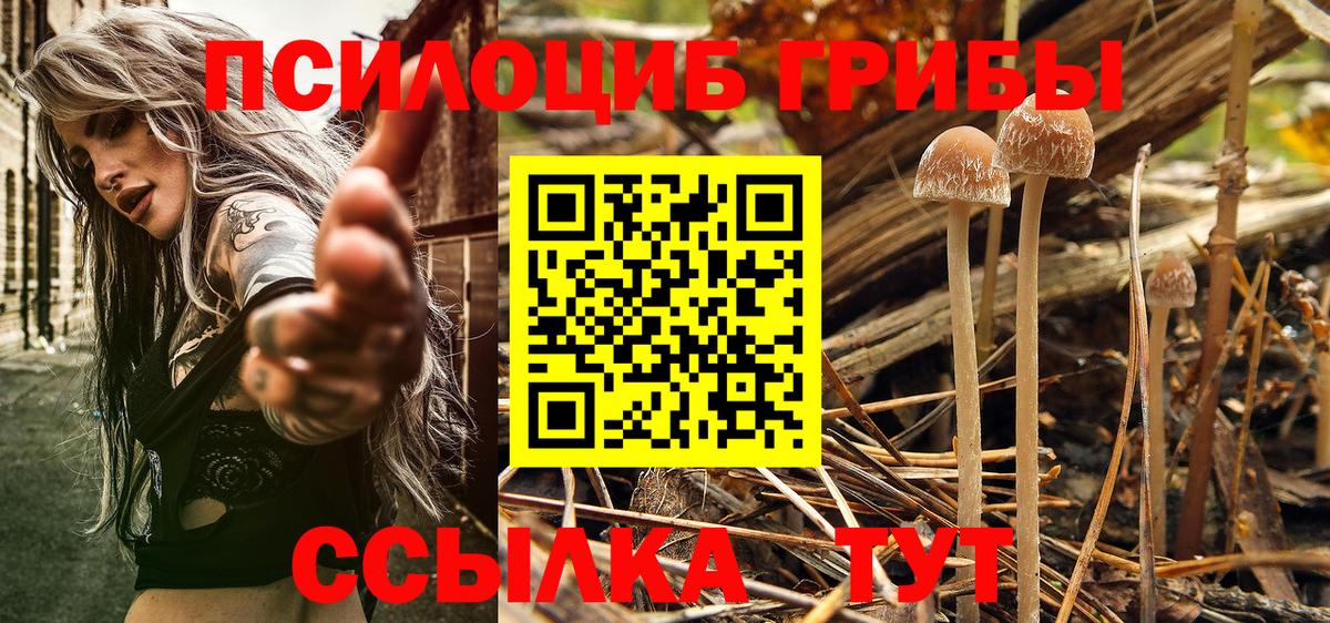 Набережные Челны  Псилоцибиновые грибы GOLDEN TEACHER  Вход с VPN 